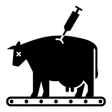 Factory Farming